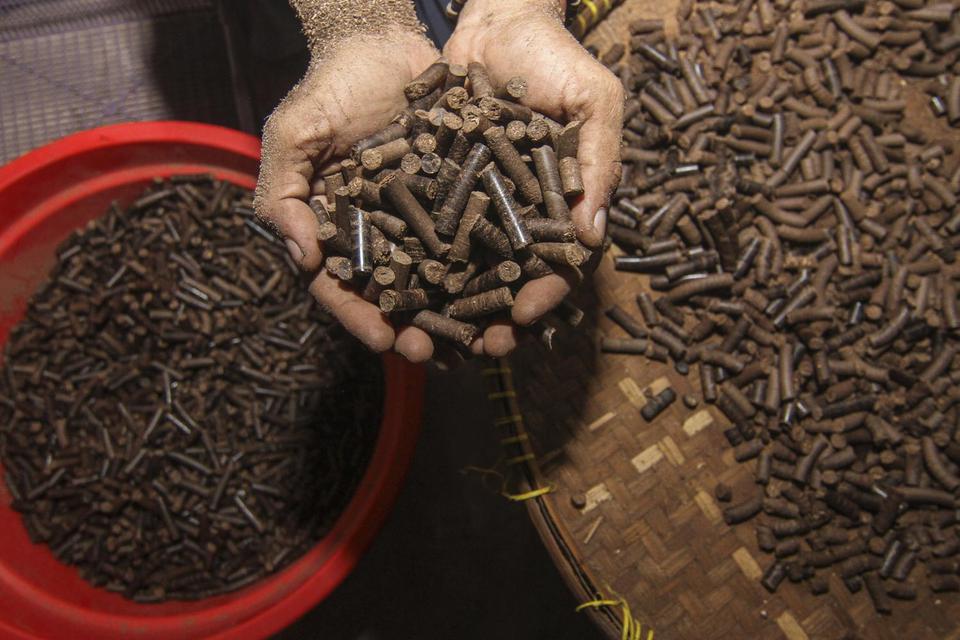 PLN Gali Potensi Biomassa Nonsawit Untuk Co-firing PLTU Batu Bara