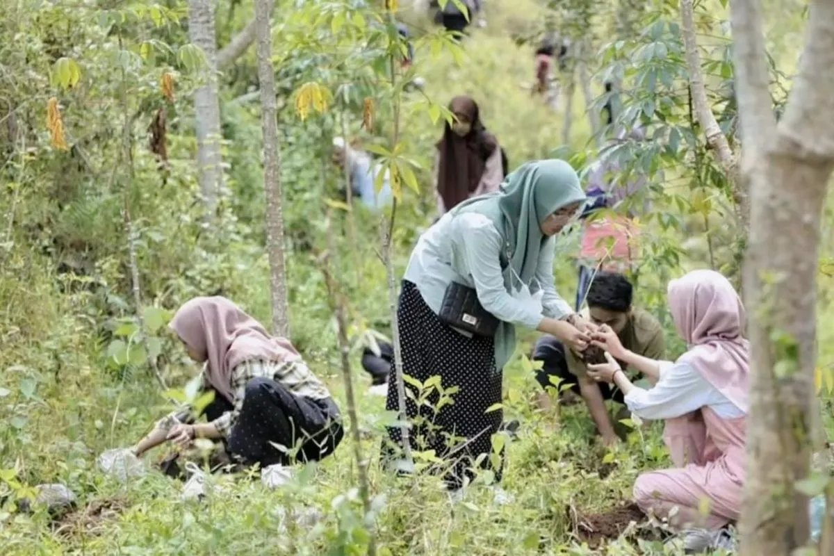 Program co-firing biomassa dinilai potensial dan bantu ekonomi warga